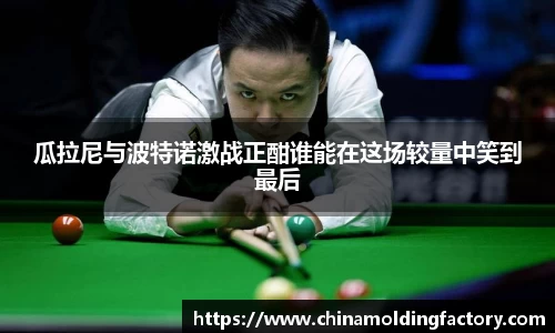 瓜拉尼与波特诺激战正酣谁能在这场较量中笑到最后